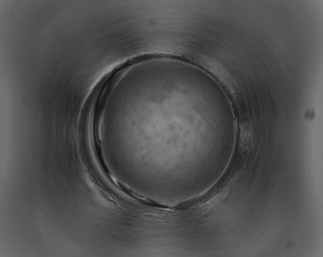 X0000091540580200708241736