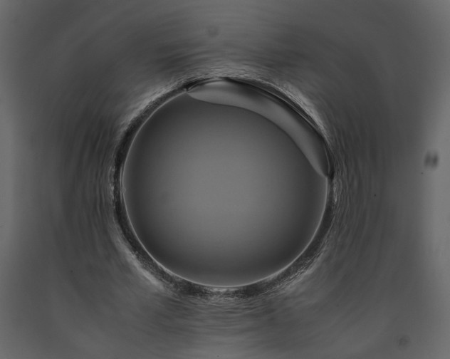 X0000091540581200708241736