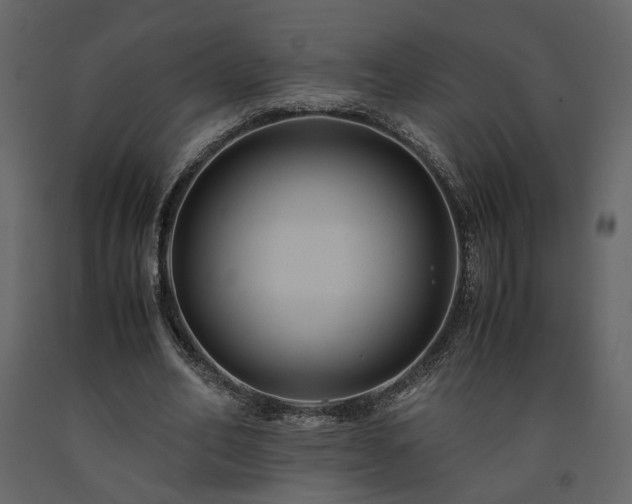 X0000091540582200708241735