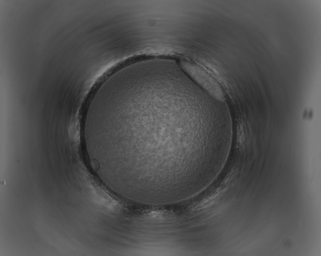 X0000091540584200708241735