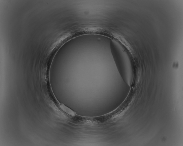X0000091540585200708241735