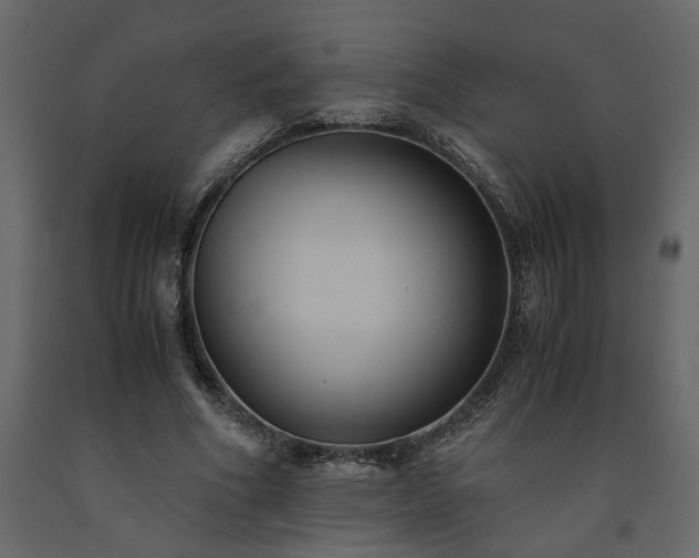 X0000091540586200708241735