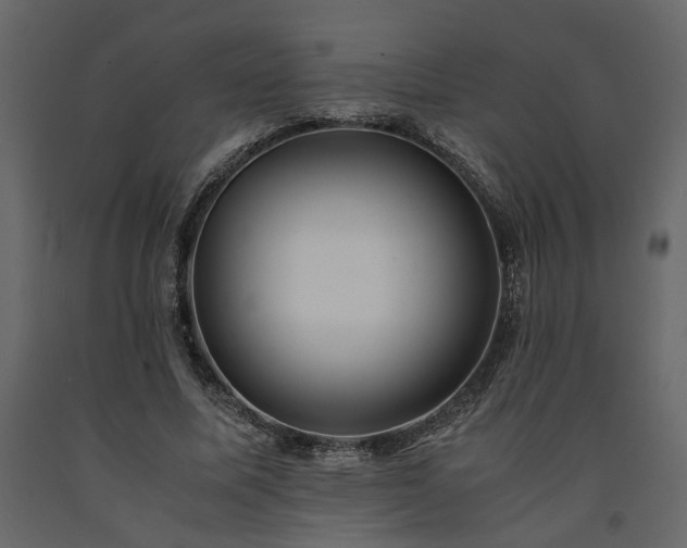 X0000091540587200708241735