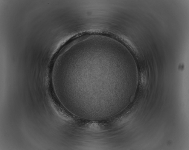 X0000091540588200708241735