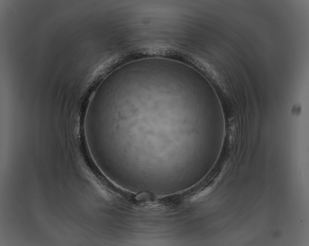 X0000091540589200708241735