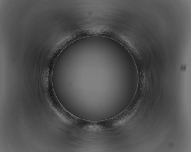 X0000091540590200708241735