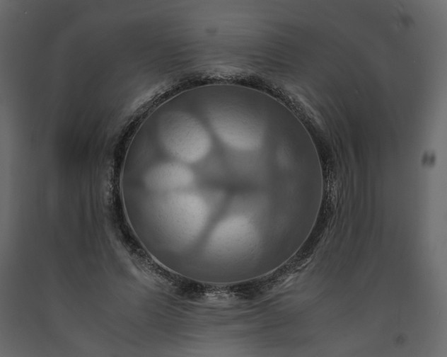 X0000091540591200708241735