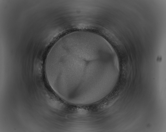 X0000091540592200708241735