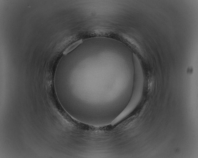X0000091540593200708241735