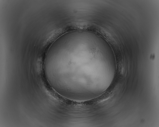 X0000091540594200708241735