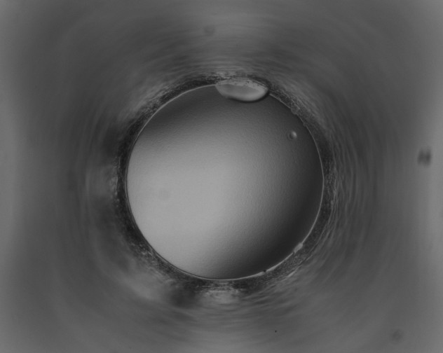 X0000091540595200708241735