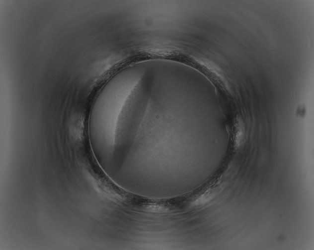 X0000091540596200708241735