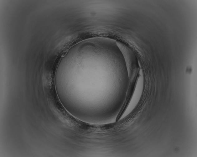 X0000091540597200708241735