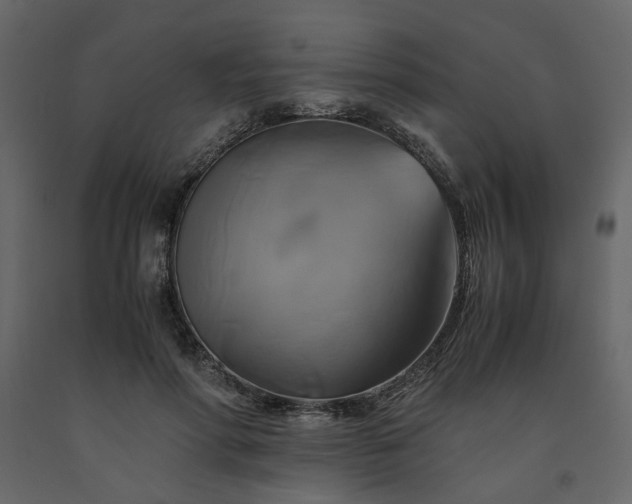 X0000091540598200708241735