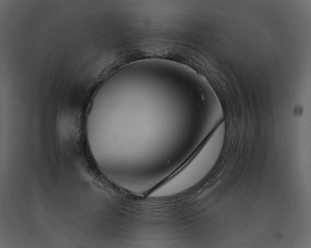 X0000091540600200708241735