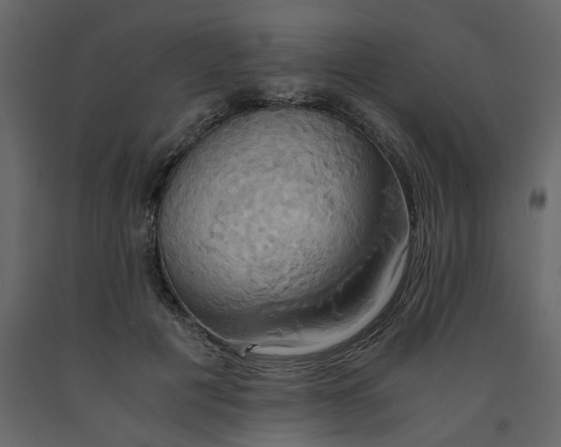 X0000091540601200708241735