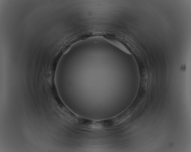 X0000091540604200708241735