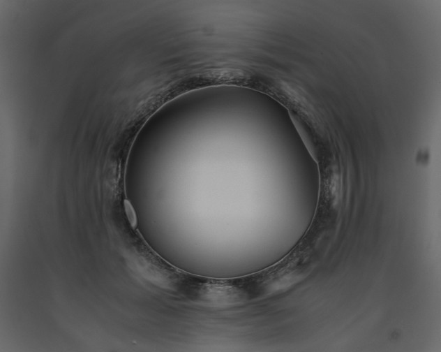 X0000091540605200708241735