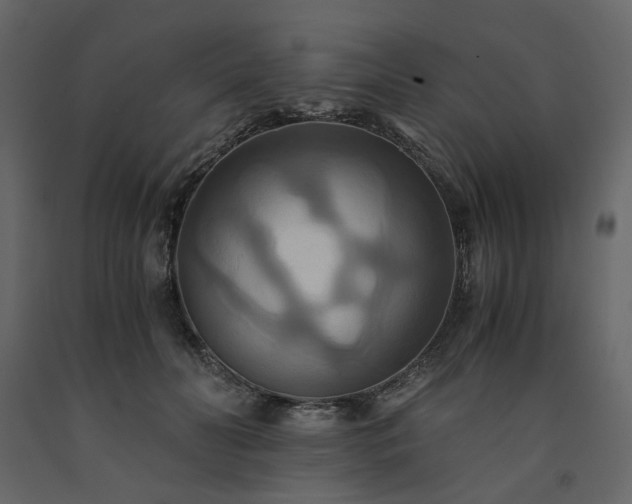 X0000091540606200708241735