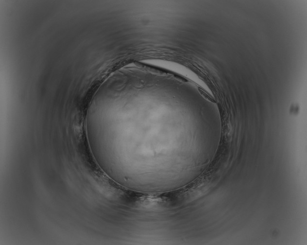 X0000091540607200708241735