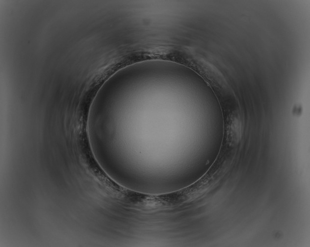 X0000091540608200708241735