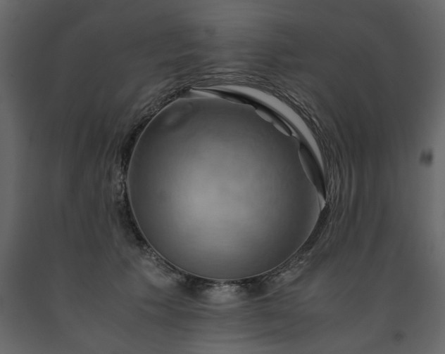 X0000091540609200708241735