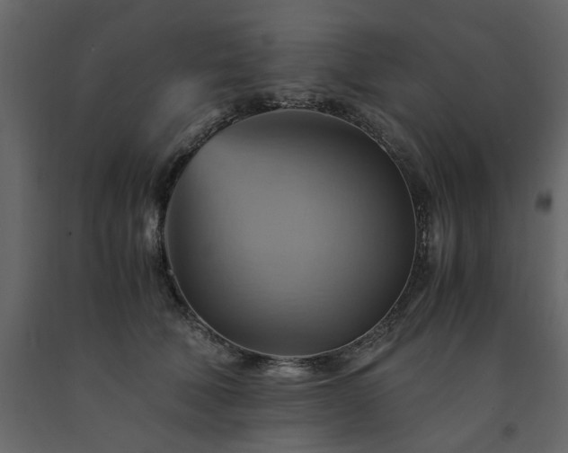 X0000091540610200708241735