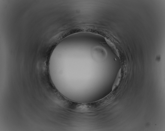 X0000091540611200708241735