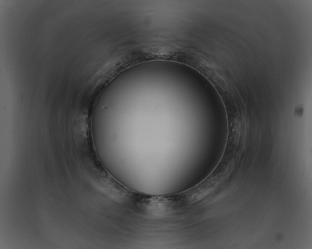 X0000091540612200708241735