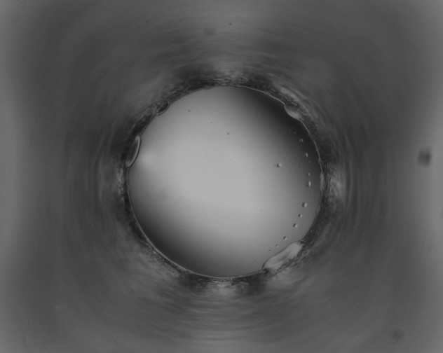 X0000091540613200708241735
