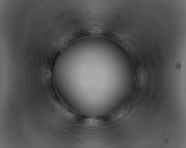 X0000091540614200708241735