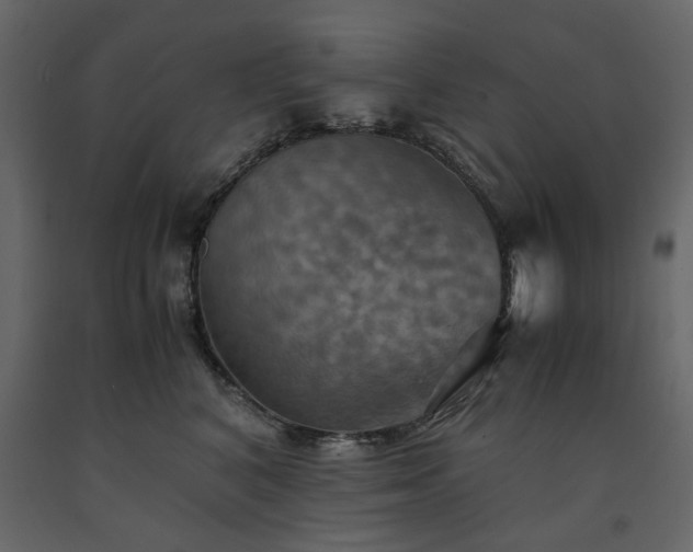 X0000091540616200708241735