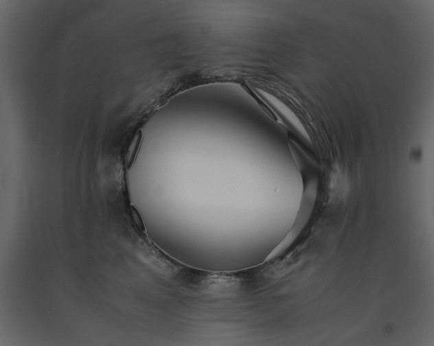 X0000091540617200708241735