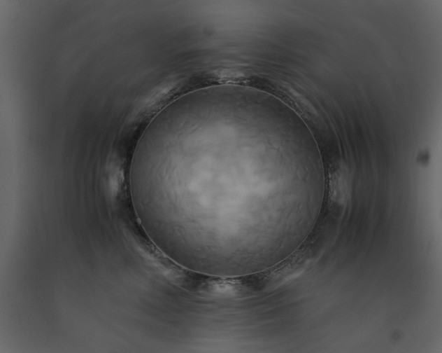 X0000091540618200708241735
