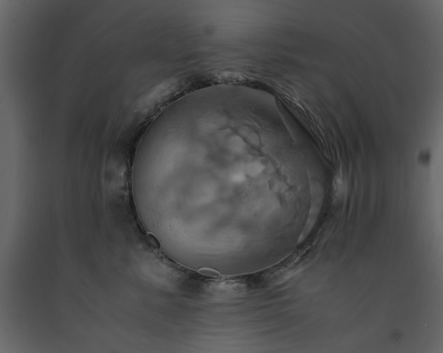 X0000091540619200708241735