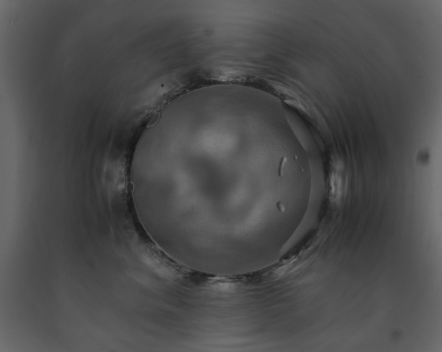X0000091540620200708241735