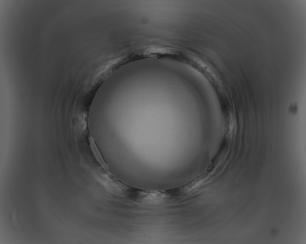 X0000091540621200708241735