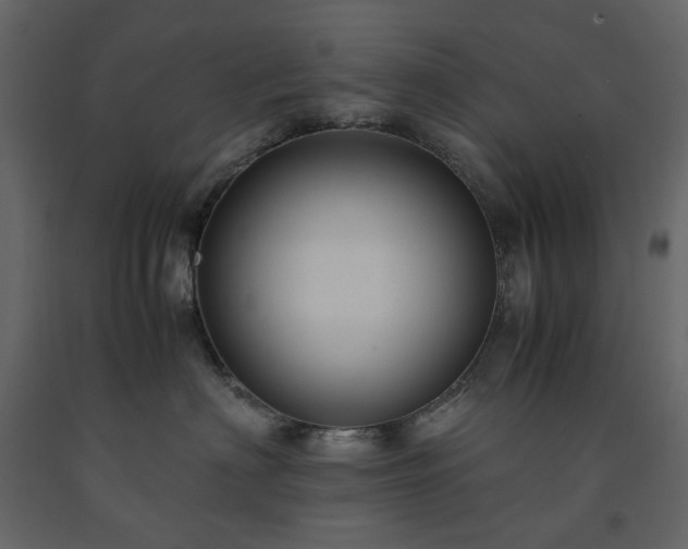 X0000091540622200708241735