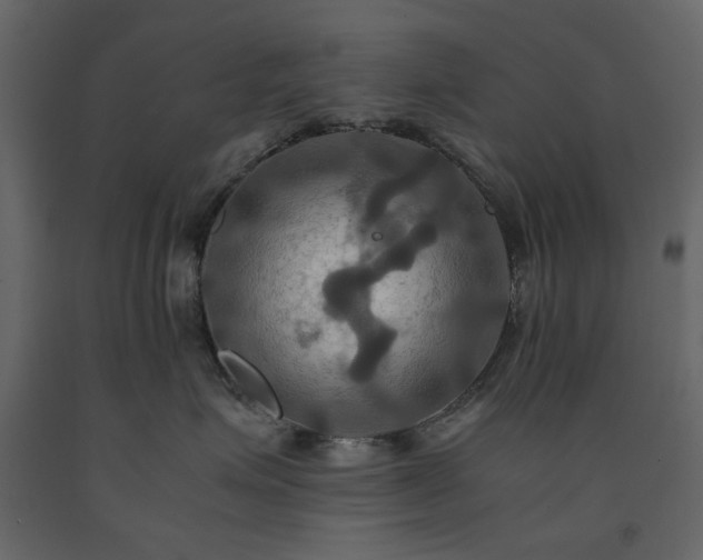 X0000091540623200708241735