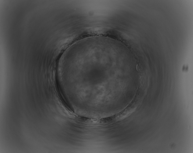 X0000091540624200708241735