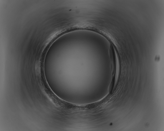 X0000091540626200708241734