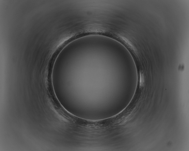 X0000091540627200708241734