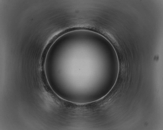 X0000091540628200708241734