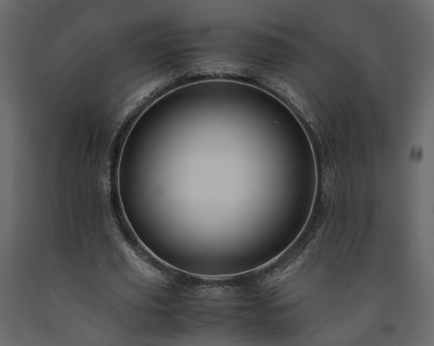X0000091540629200708241734