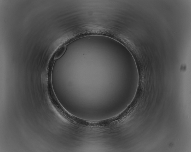 X0000091540630200708241734