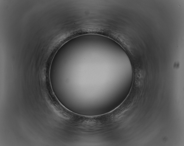 X0000091540631200708241734