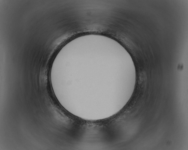 X0000091540632200708241734