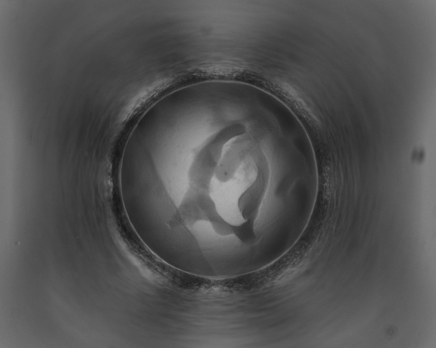 X0000091540634200708241734