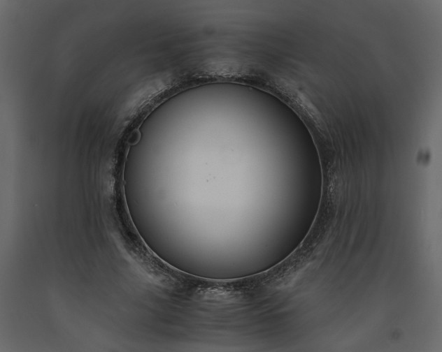 X0000091540635200708241734