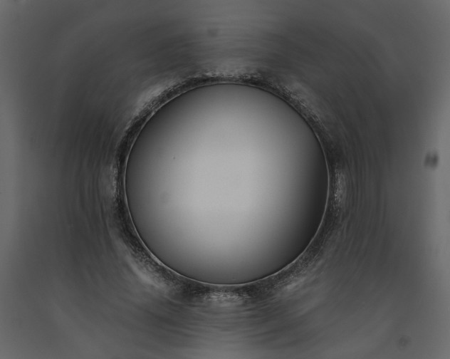 X0000091540636200708241734